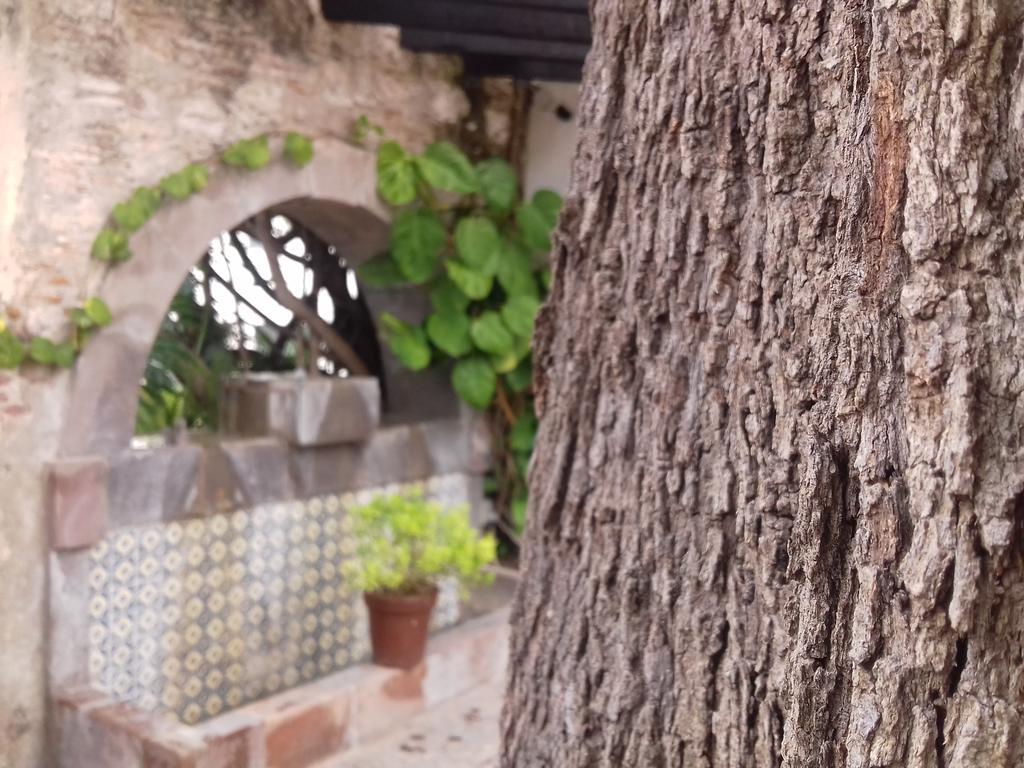 Hotel & Spa Dona Urraca San Miguel De Allende Luaran gambar